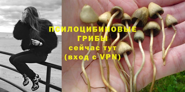 спайс Абдулино