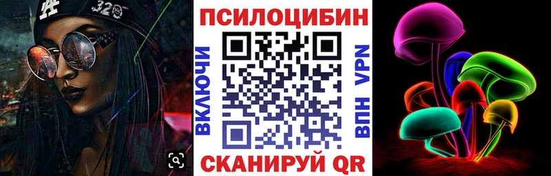 где купить наркоту  Чулым  Галлюциногенные грибы Psilocybe 